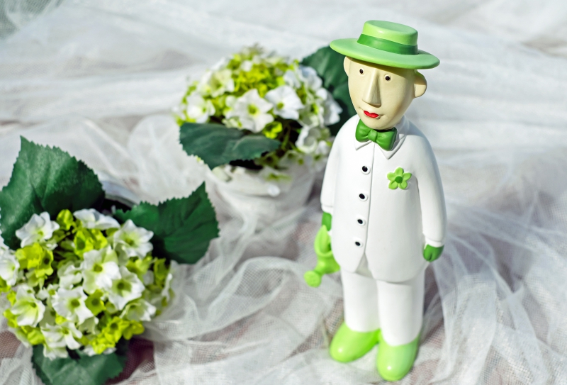 vitrine-VIDAUBAN-min_man-person-flower-green-toy-fig-546529-pxhere.com